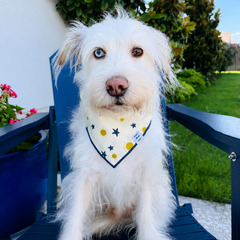cotton reversible sunny bandana