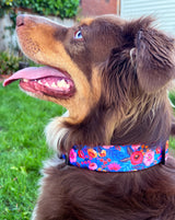 Wide Collar Bundle - Wholesale