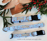 winter blue dog collar martingale and wide collar
