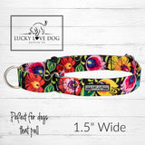 WIDE Blackbird Collar
