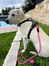 A white dog wearing a Lucky Love Dog pink floral harness and matching pink rope leash.