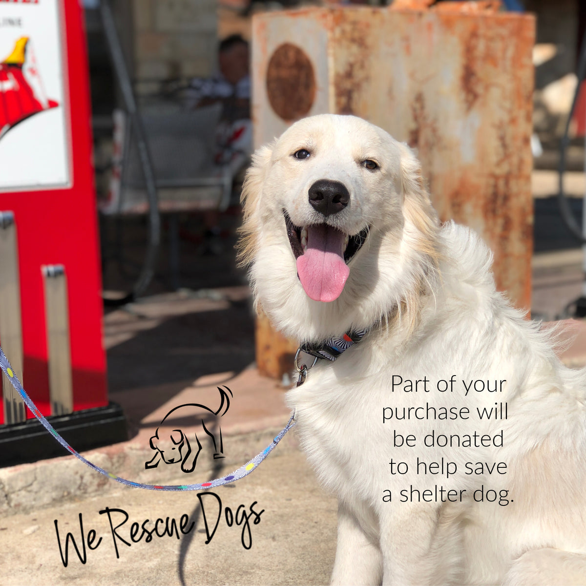 Smiling white dog wearing a patterned collar and leash promoting rescue donations.