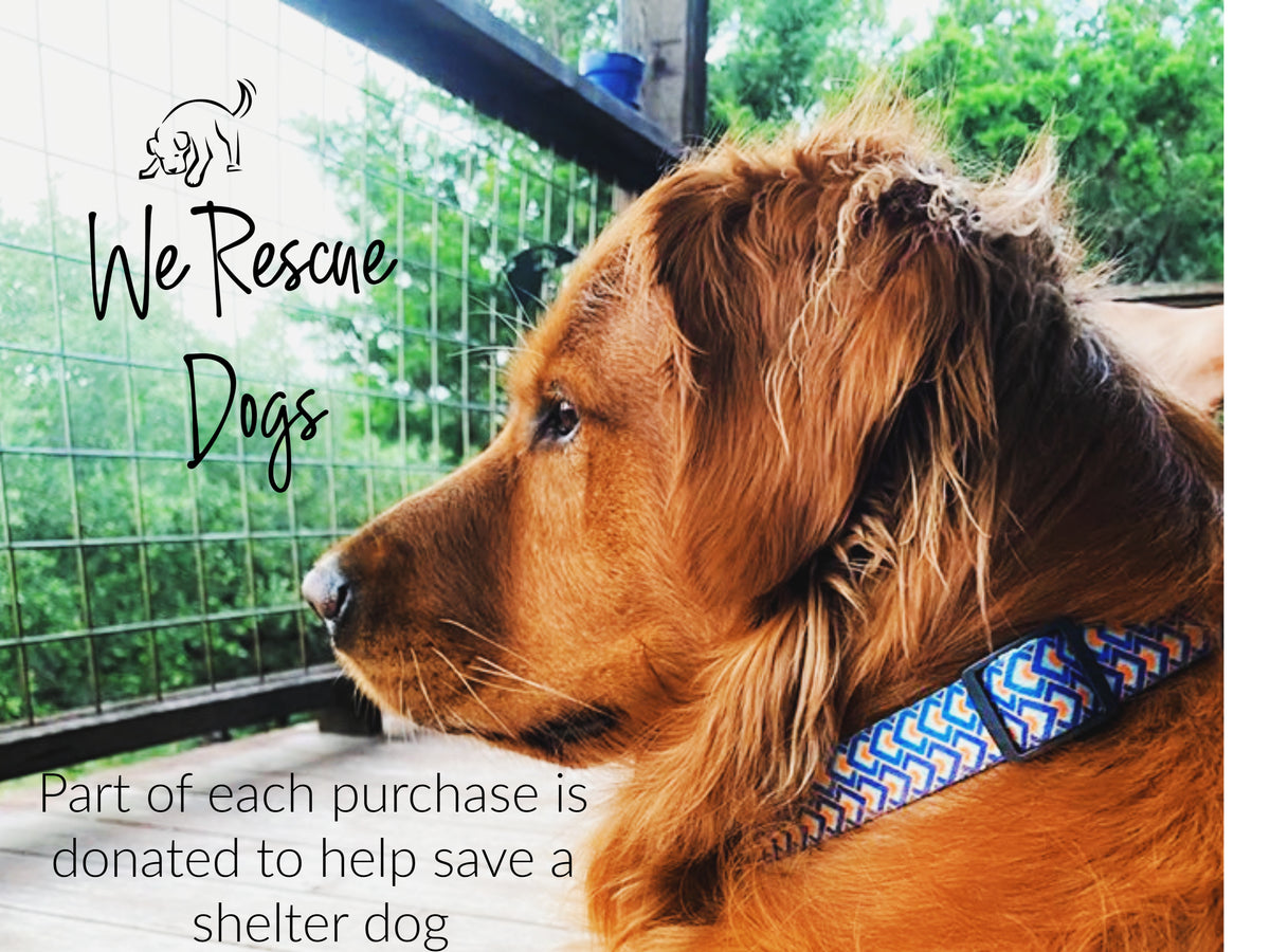 Murphy Dog Collar