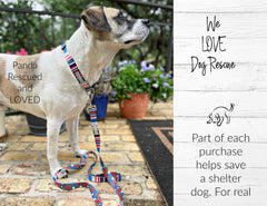 Linus Dog Collar