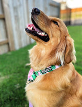 Laguna - Pink  Martingale