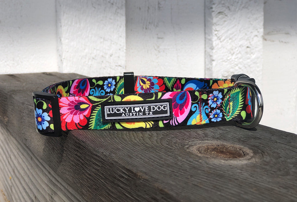 cute floral dog collar front on fence post 