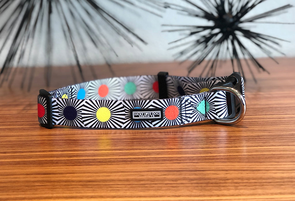 bright modern geometric funky dog collar front