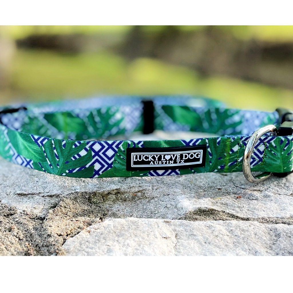 chic palm leaves tropical male dog collar