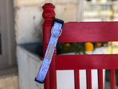 light blue winter dog collar on red chair