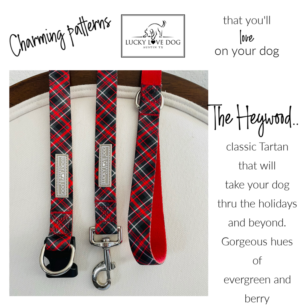 classic tartan plaid dog leash evergreen and berry
