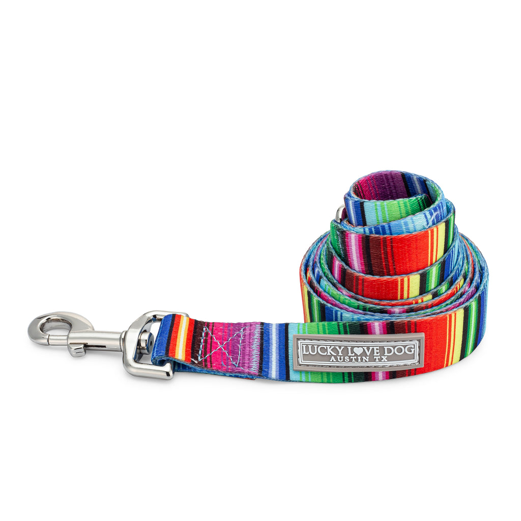 bold fiesta stripe cute dog leash