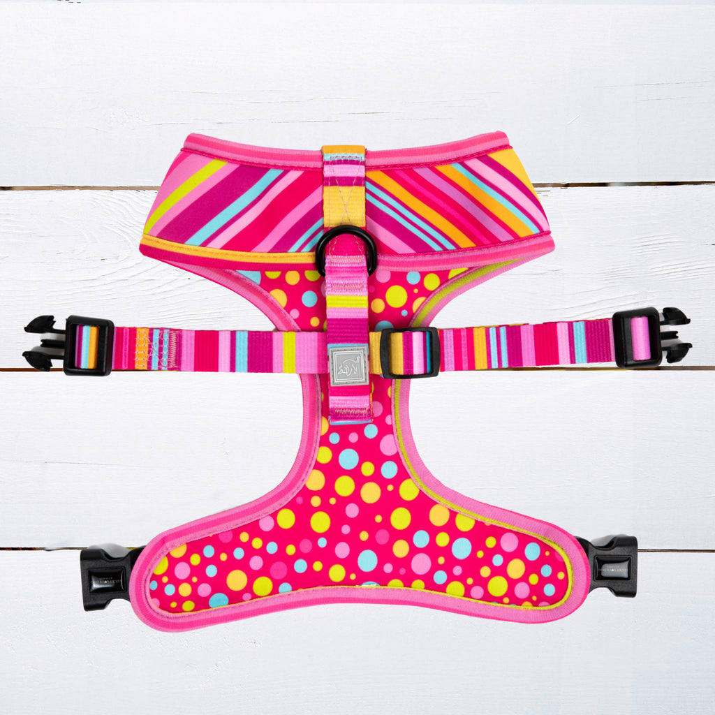 pink yellow aqua striped and dots reversible dog vest