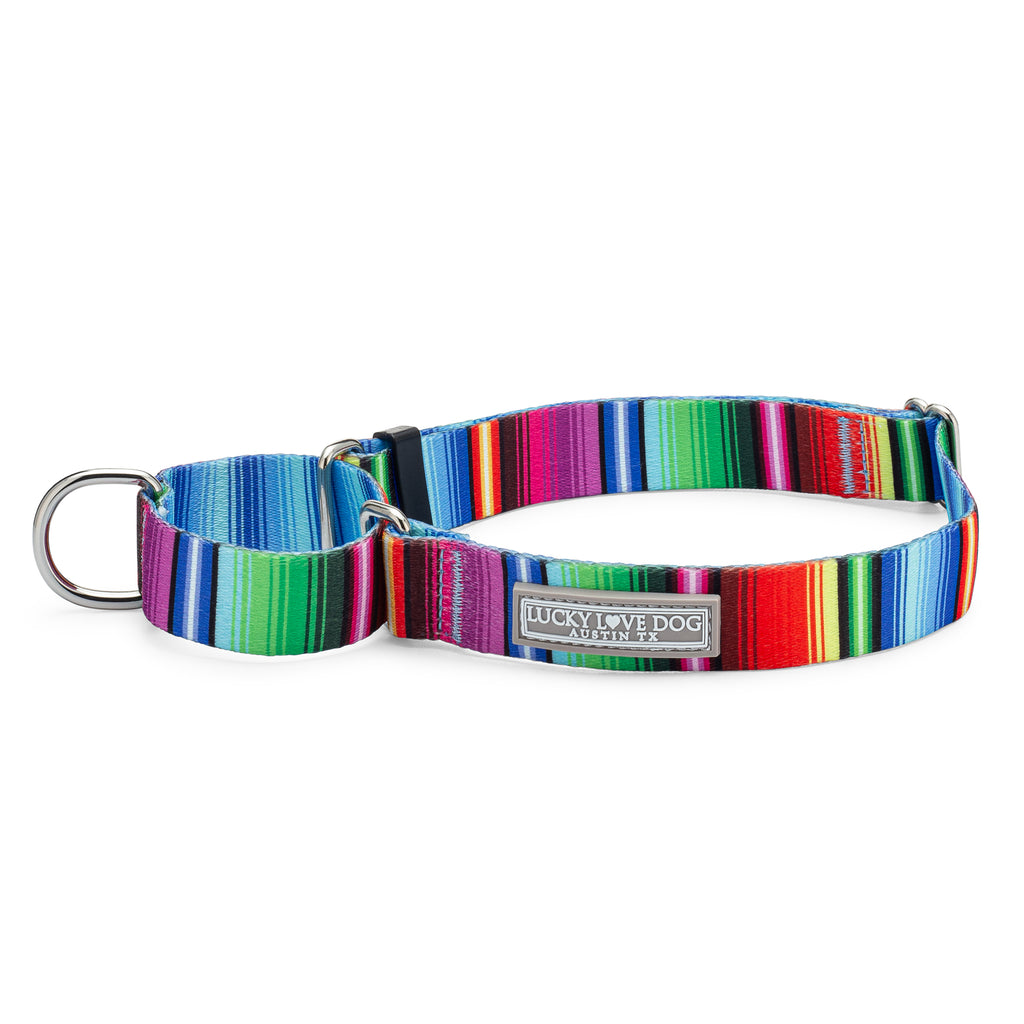 fiesta striped festive cute dog martingale collar