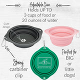 gray rose green dog travel bowls 